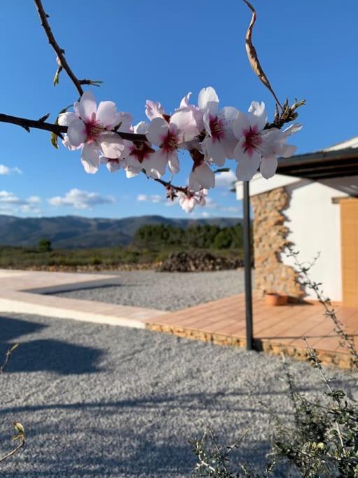 La Llobatera Casa Rural Les Coves de Vinroma Bagian luar foto